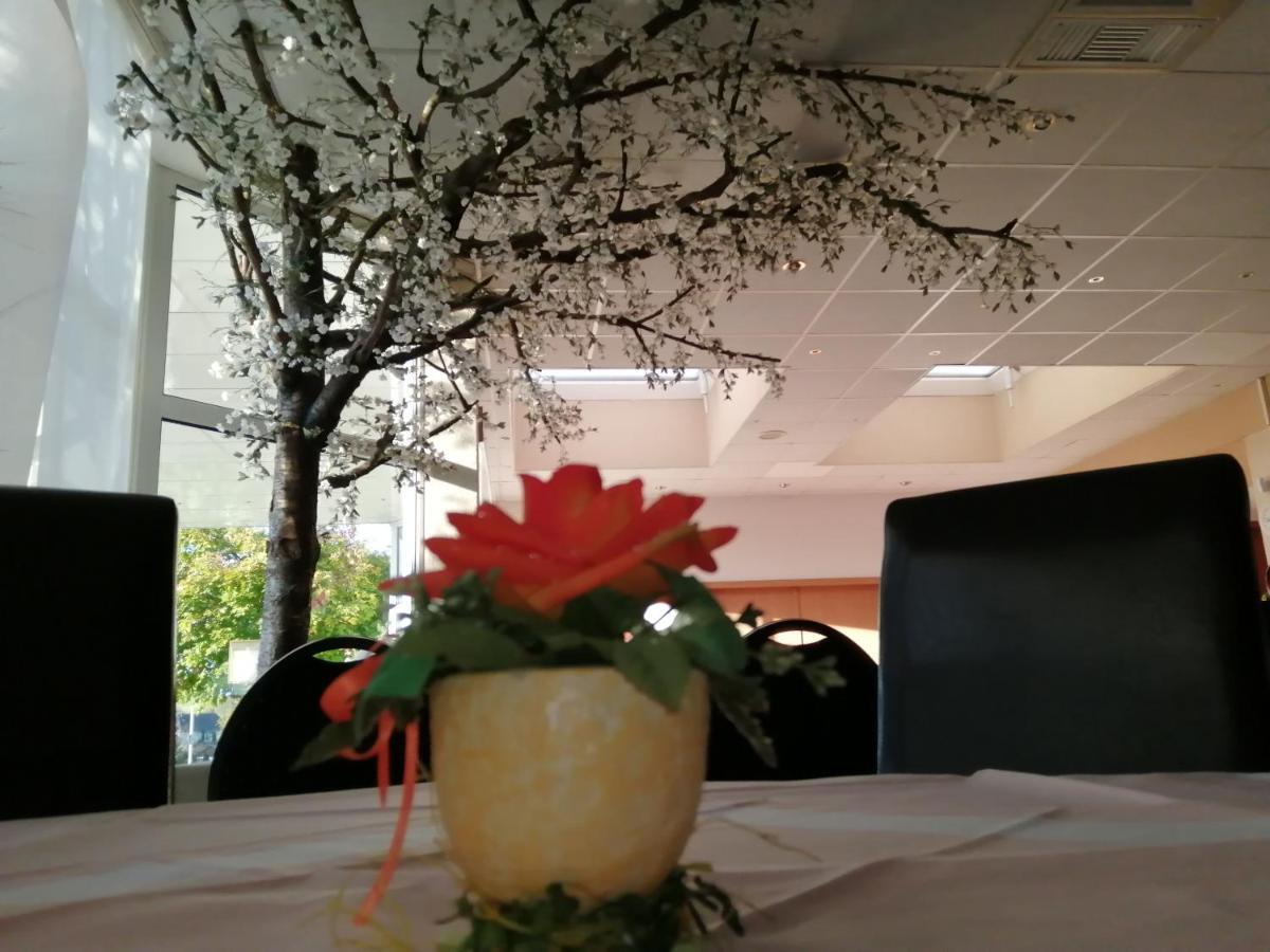 Edit Pension Rossau Dış mekan fotoğraf